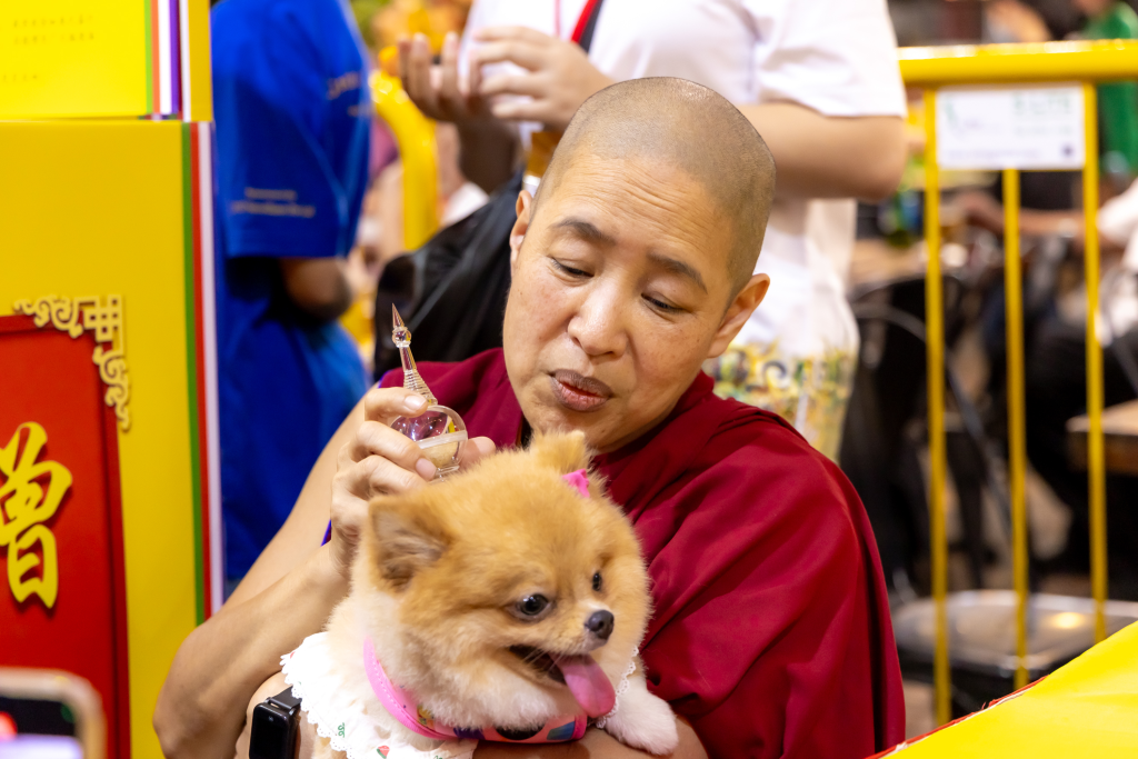 Tibetan Monk Blessing Dog During Animal Blessing Ceremony