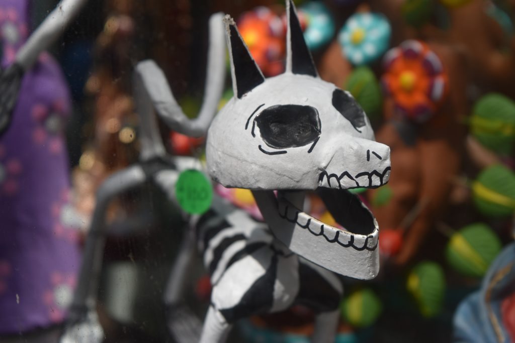 Dog skull in honor of deceased pet to celebrate the Day of the Dead
