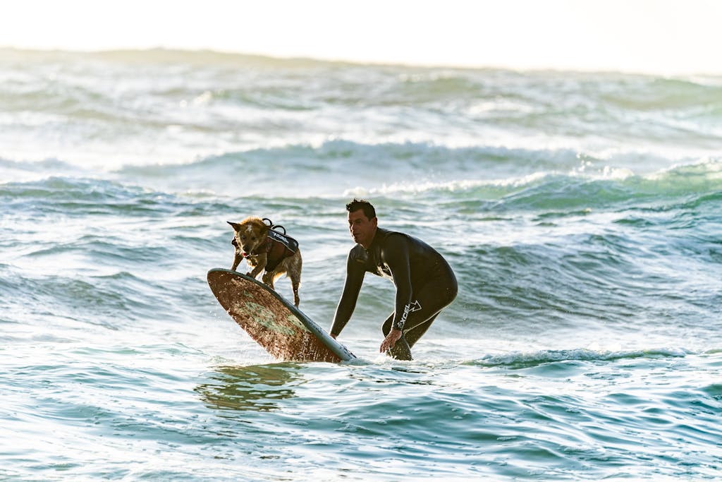 A surfer and his dog riding waves together on a sunny summer day, showcasing an adventurous spirit.