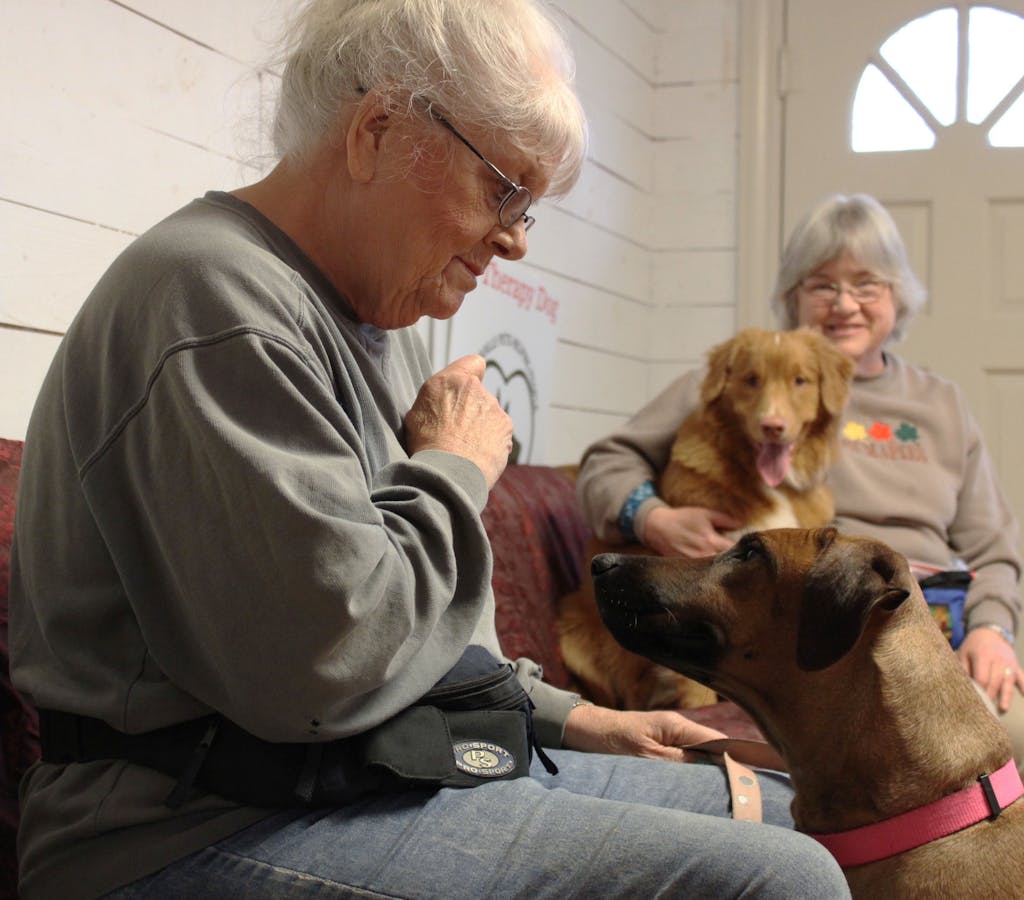 Senior women engaging with their dogs indoors, depicting warmth and companionship.