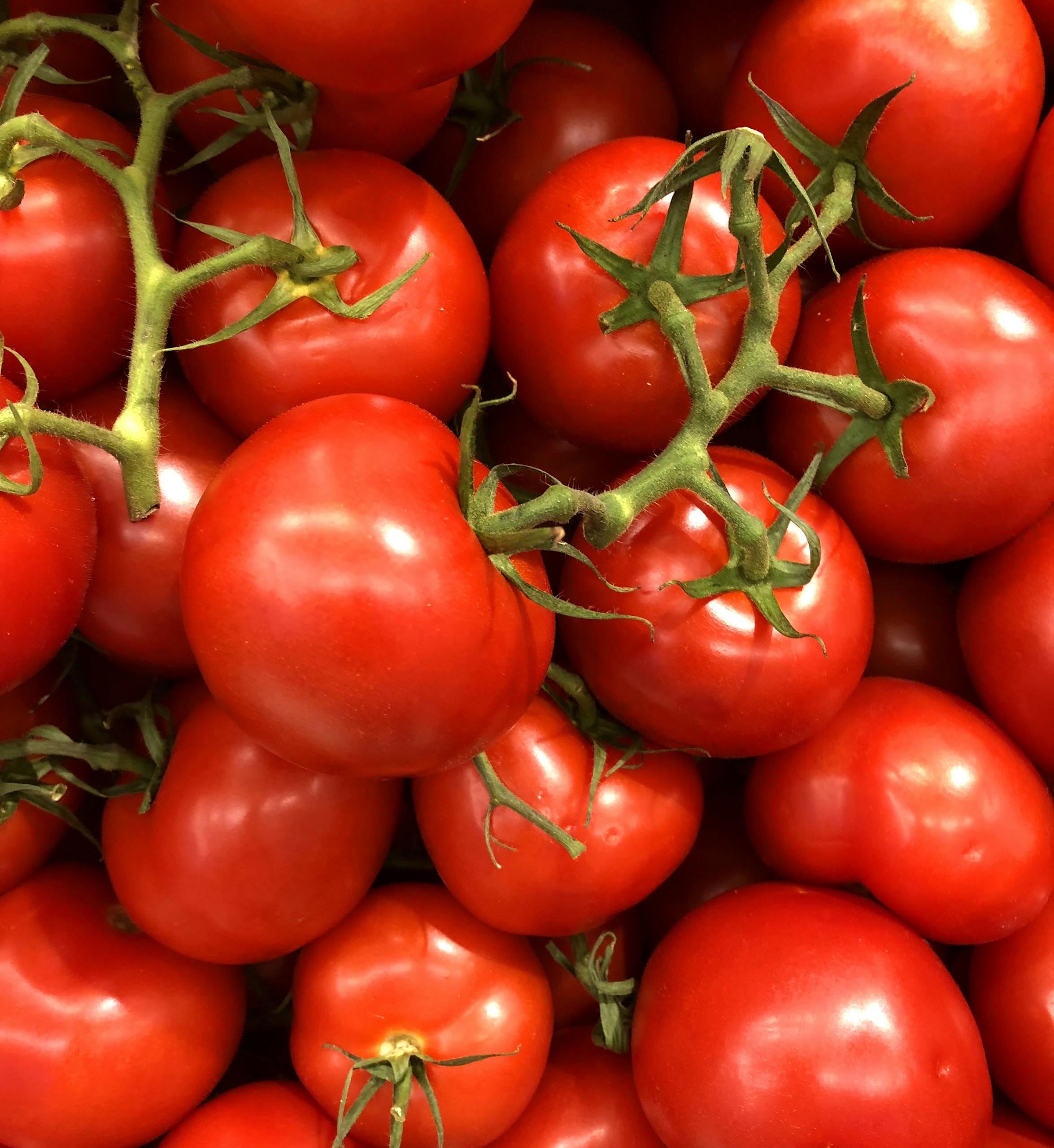 Vibrant close-up of fresh cherry tomatoes, showcasing their juiciness and bright red color.