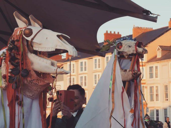 Two Mari Lwyd at Aberystwyth