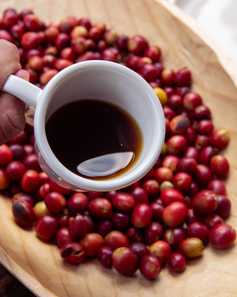 Close-up of a coffee cup with freshly brewed artisan coffee and Mexican coffee beans in Puebla.
